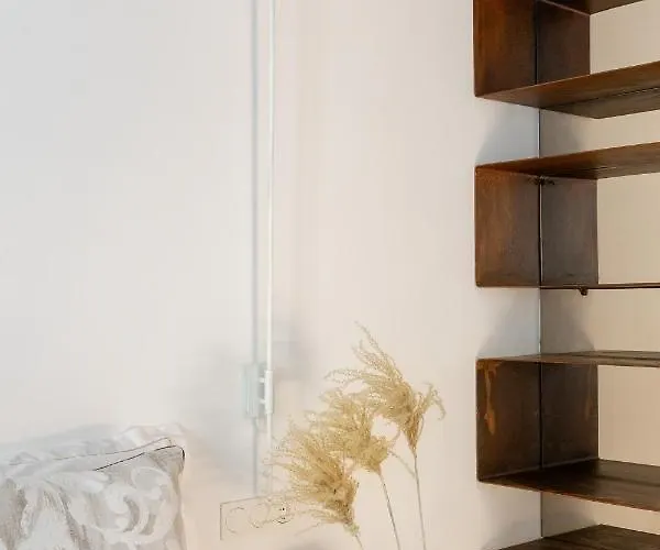 Spectacular By Sebastiana Group 산세바스티안